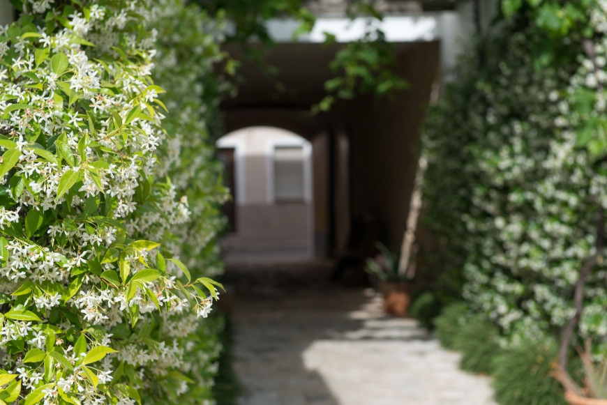 Coliving AdD LiVitum