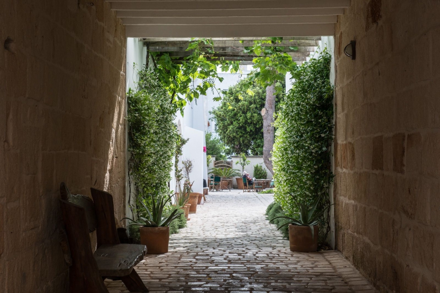 Coliving AdD LiVitum